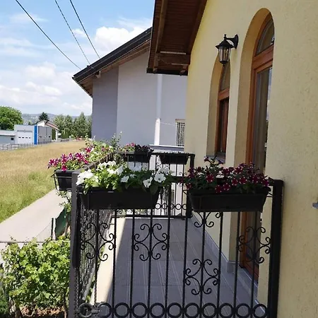 Delux Homestay *
